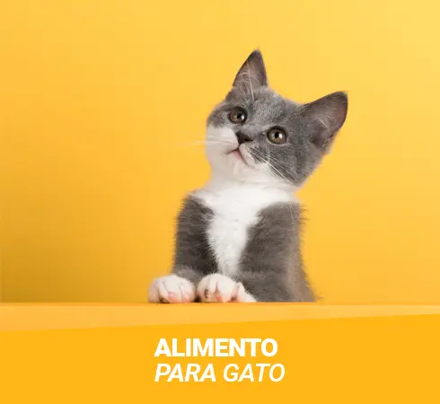 Nustras catagorias de comida para mascotas